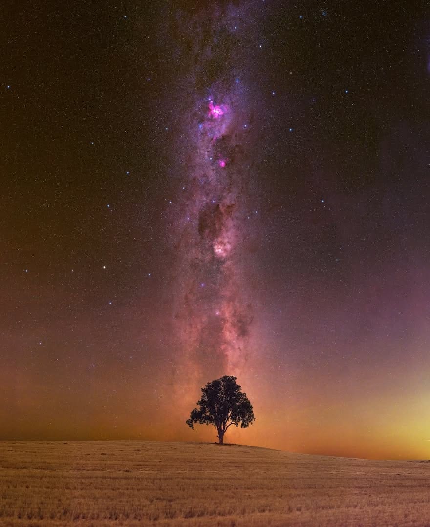Post 1 by Trevor Dobson on Instagram (image)
