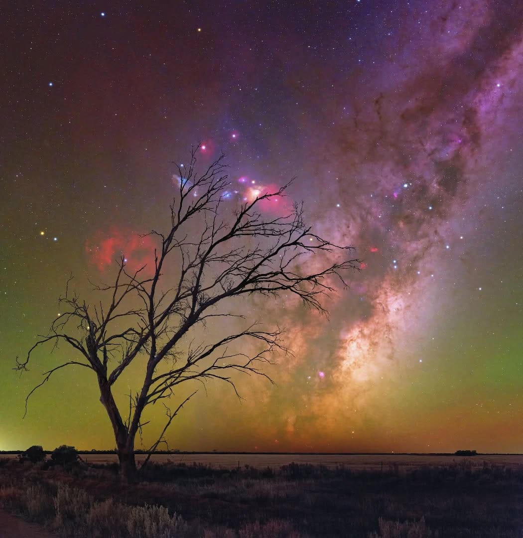 Post 6 by Trevor Dobson on Instagram (image)