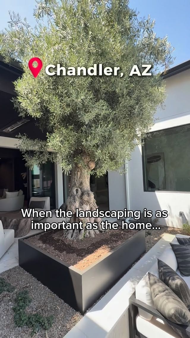 Post 5 by AZ Real Estate Agent | Casey Walag on Instagram (video)