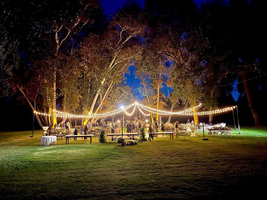 Post 10 by Light Up The walls on Instagram (image)