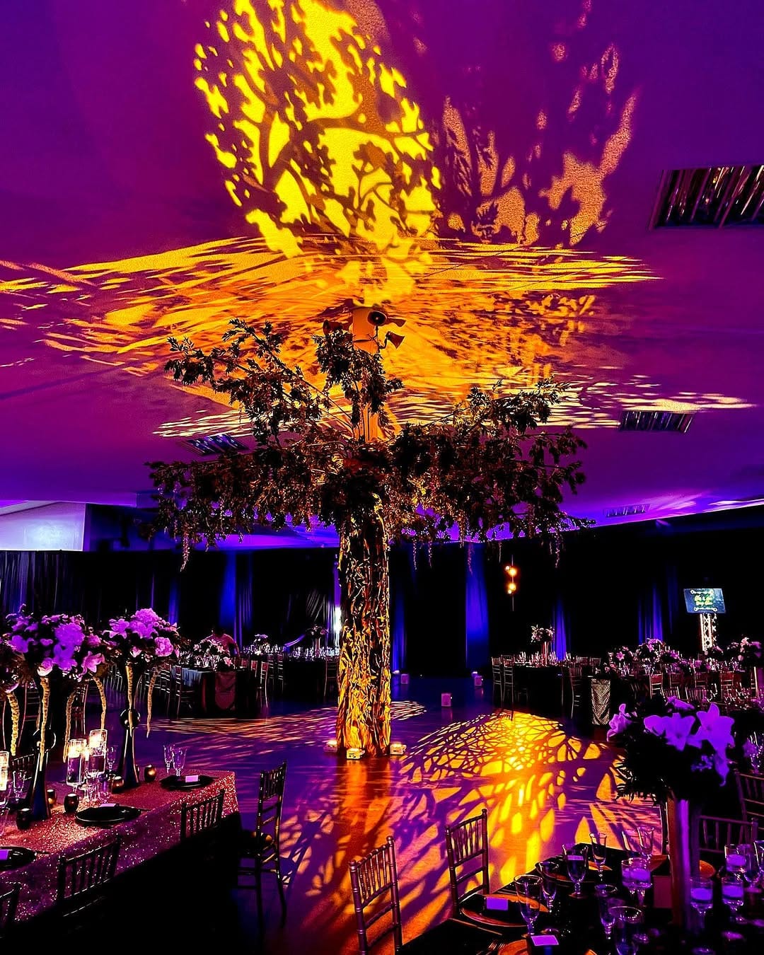 Post 9 by Light Up The walls on Instagram (image)