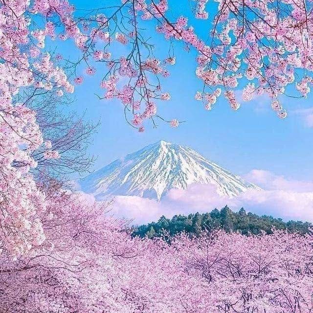 Post 2 by ирина шинкар on Instagram (image)