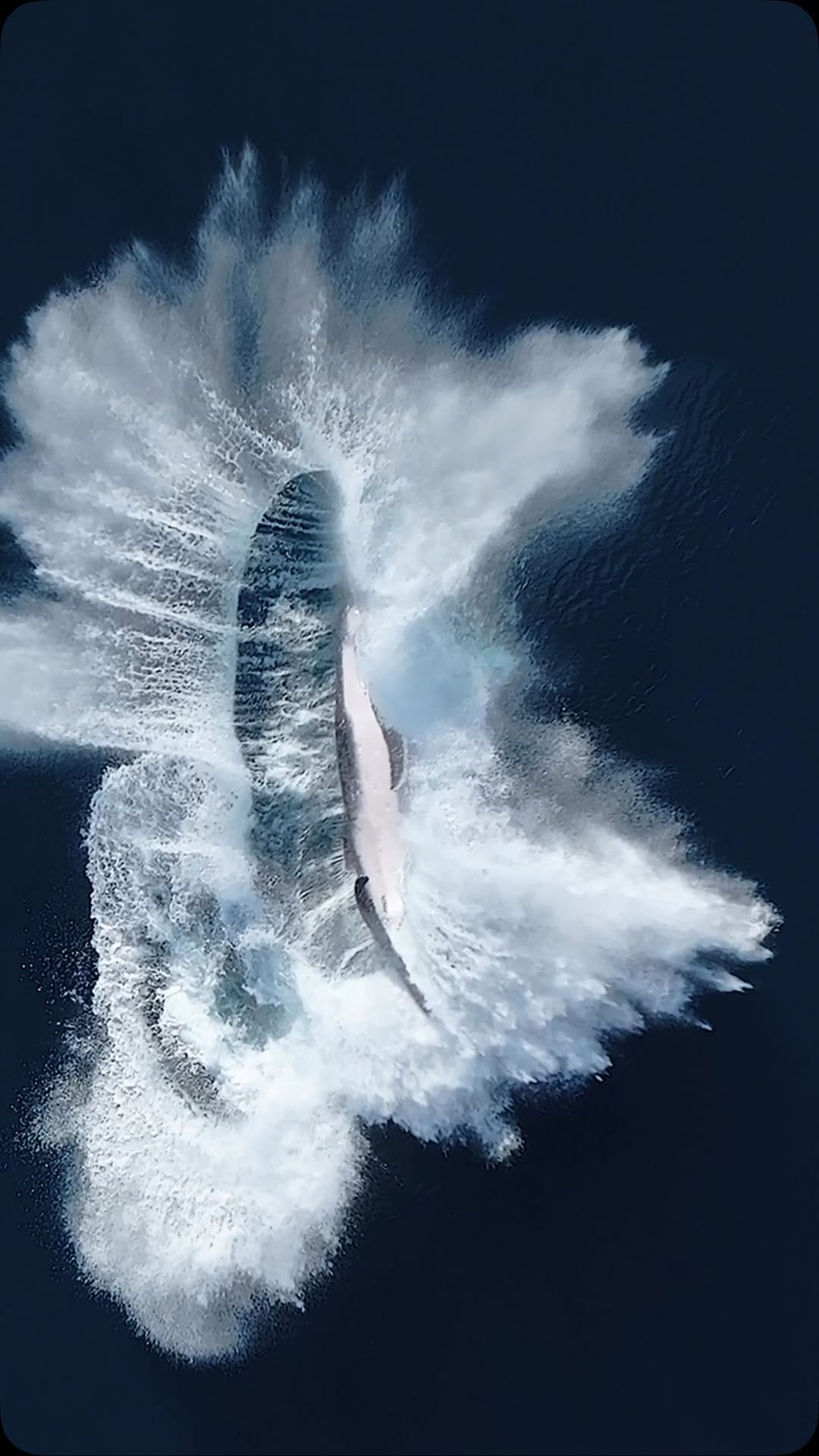 Post 9 by Lili Roessel Photography on Instagram (video)