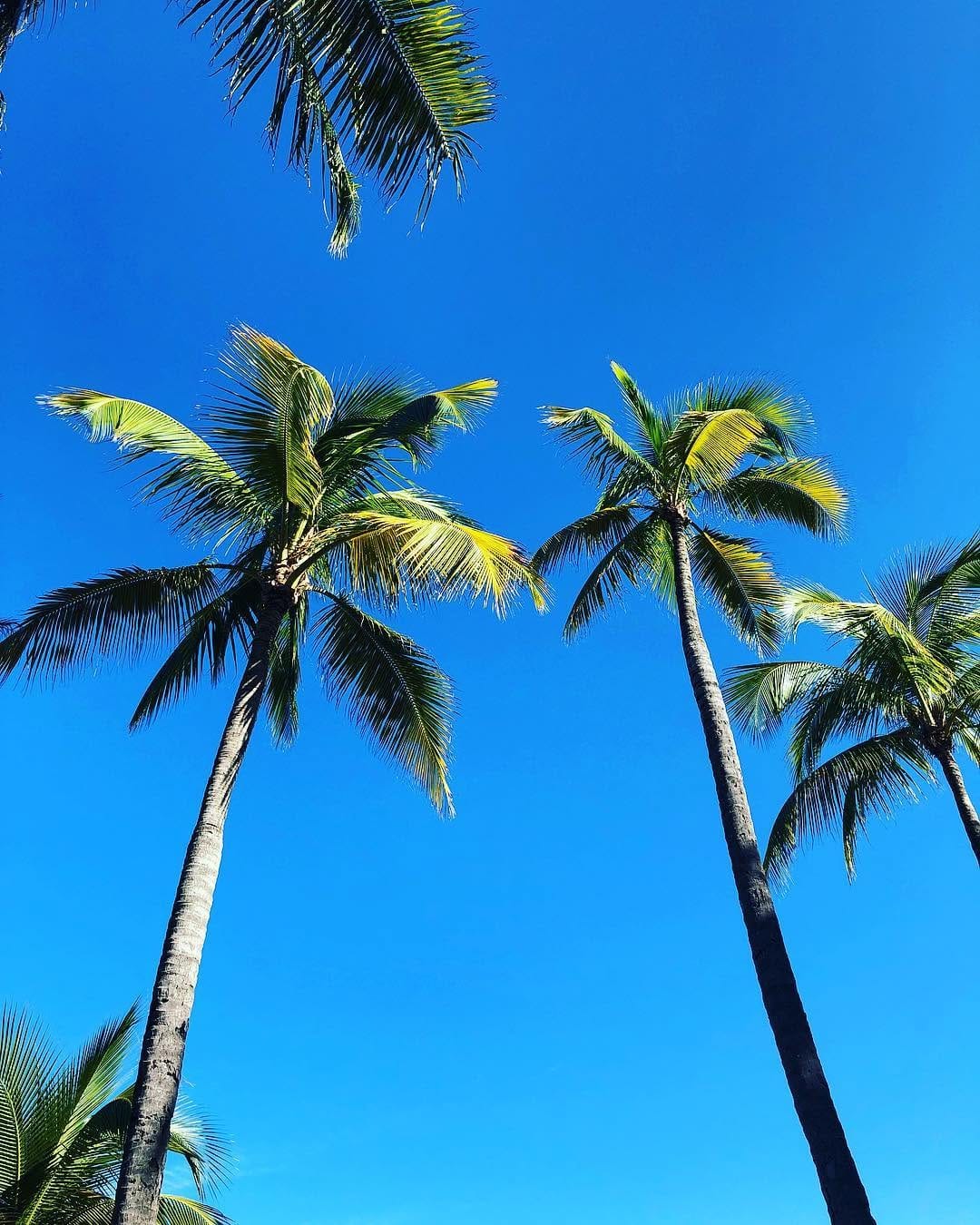 Post 10 by Jonathan on Instagram (image)