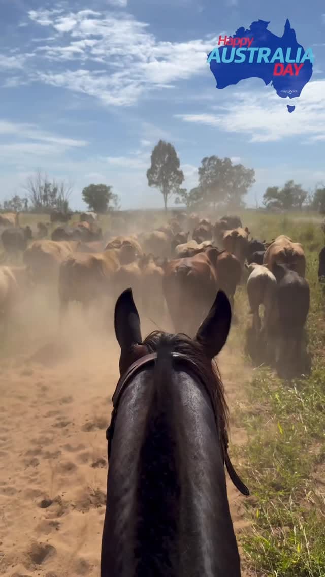 Post 5 by Nicky Lorimer on Instagram (video)