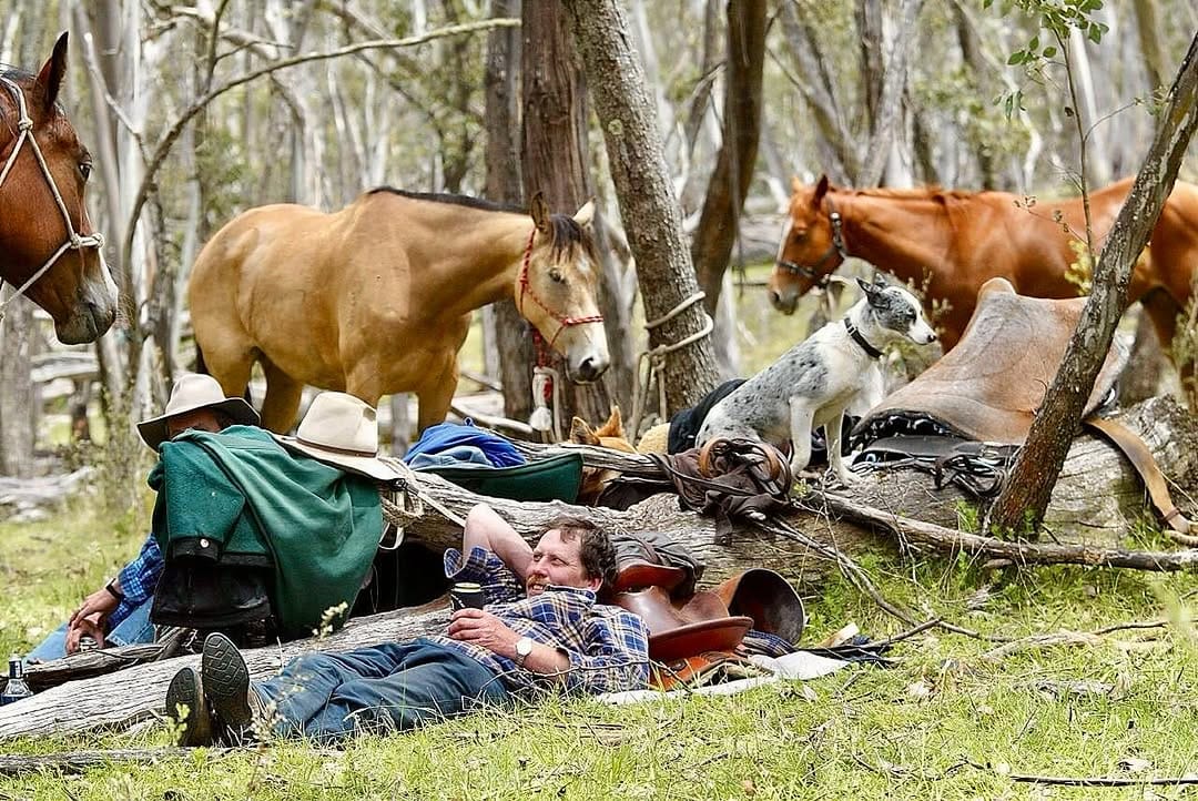 Post 3 by The Victorian High Country on Instagram (image)