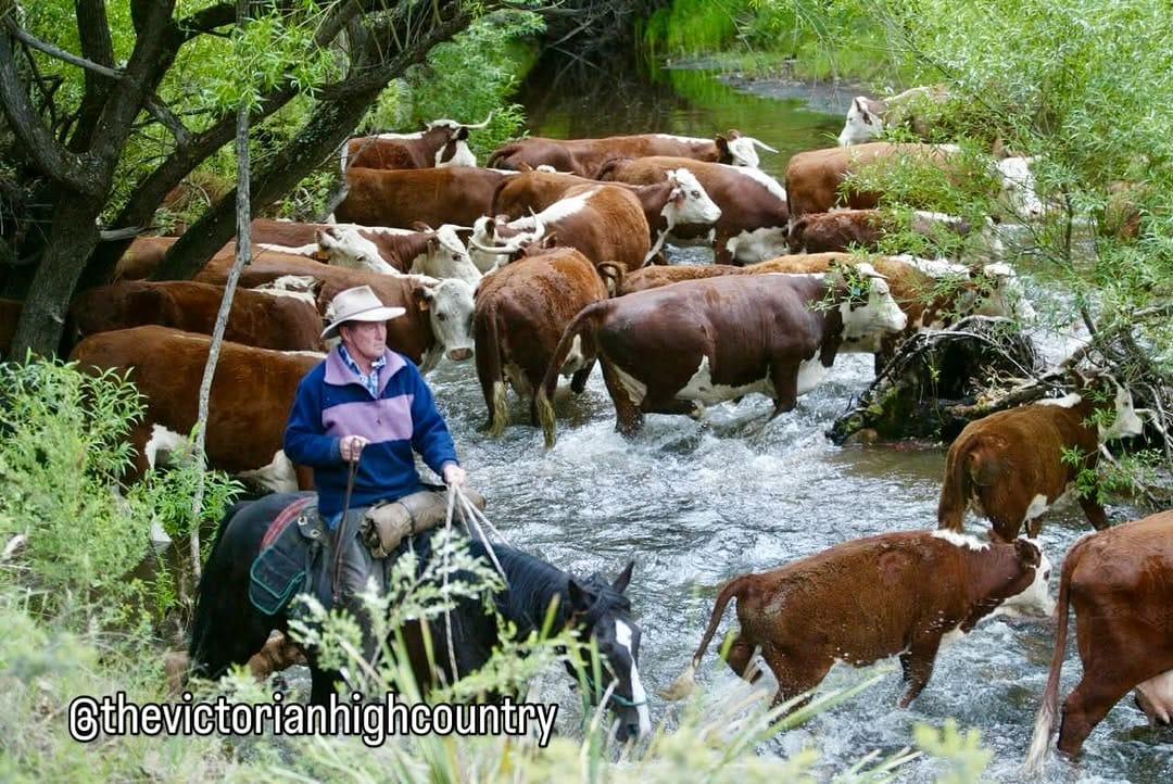 Post 4 by The Victorian High Country on Instagram (image)