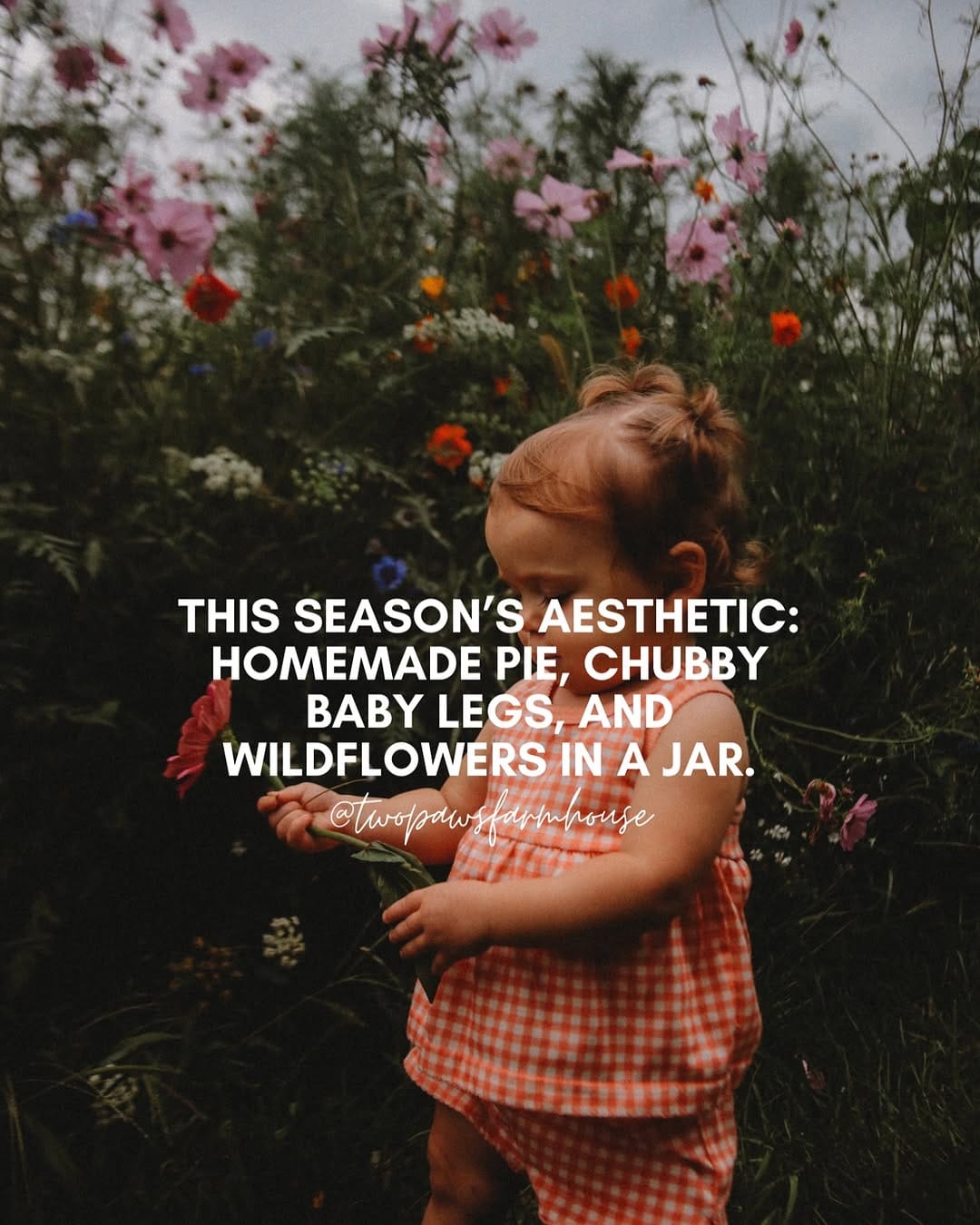 Post 8 by Hayden Scharrer on Instagram (image)