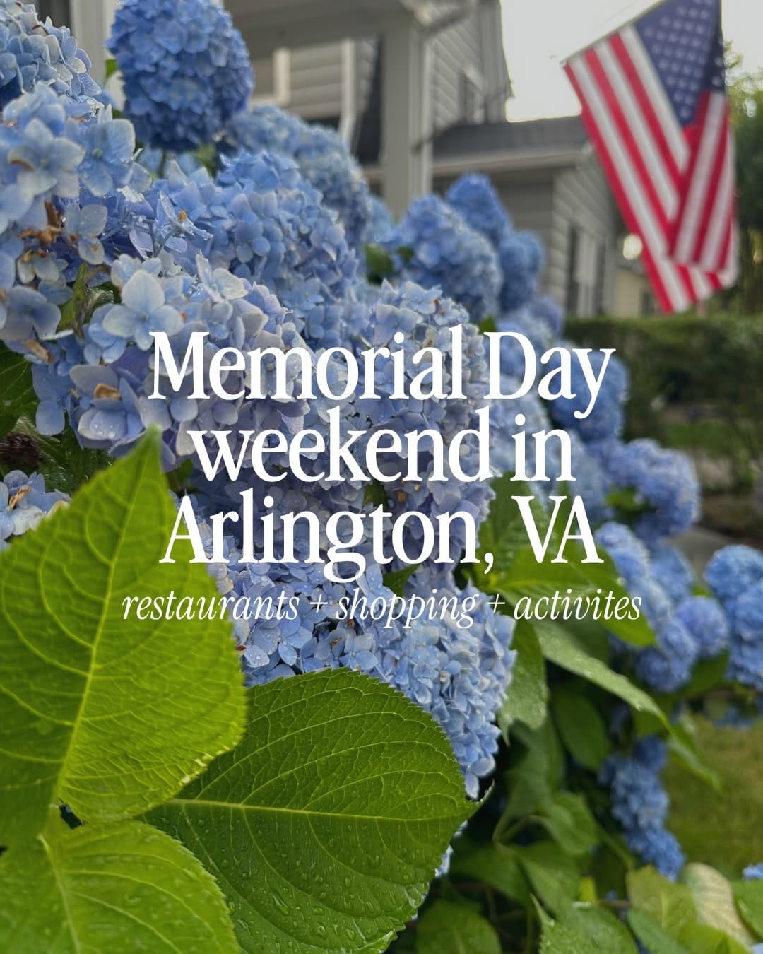 Post 3 by Michelle Doherty | REALTOR ®️ in VA + D.C on Instagram (carousel)