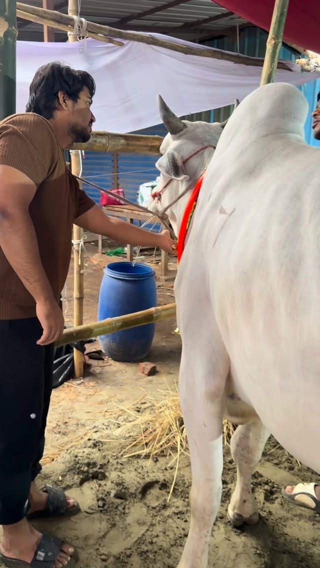 Post 1 by Abdul Ahad on Instagram (video)