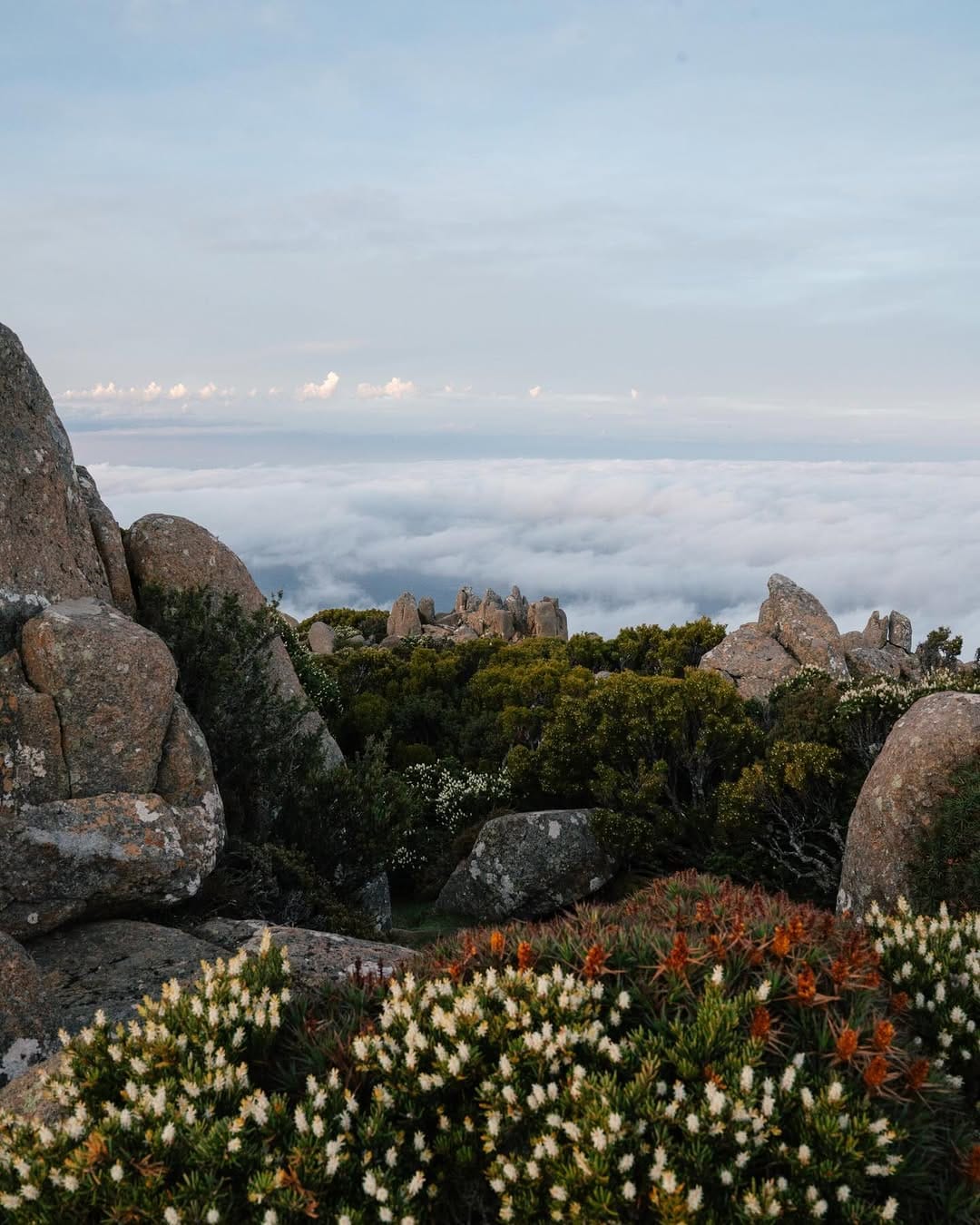 Post 6 by Graham King | Tasmania on Instagram (carousel)