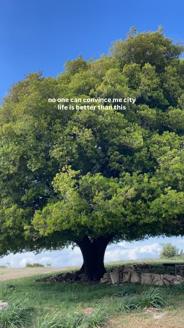 Post 5 by Travel Lebanon on Instagram (video)