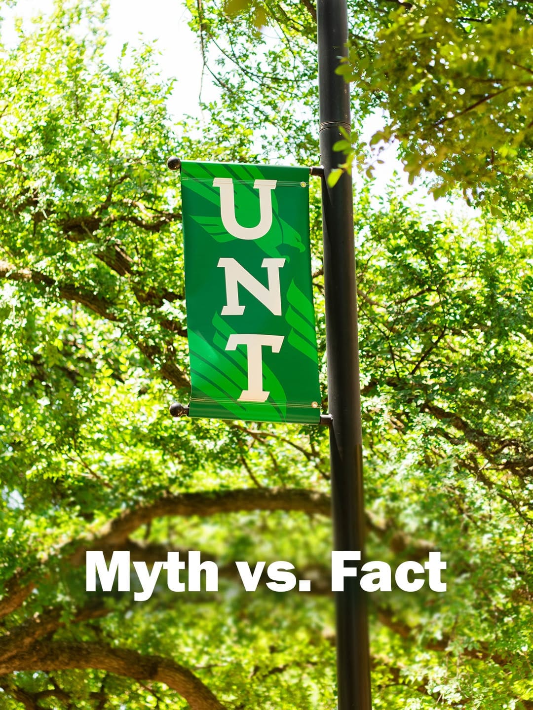 Post 3 by University of North Texas on Instagram (carousel)