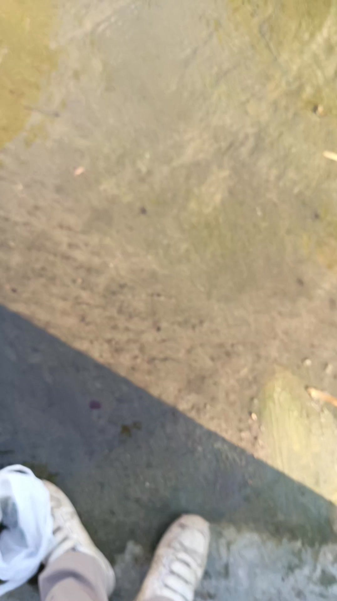 Post 2 by Try Mulyono Nozoa on Instagram (video)