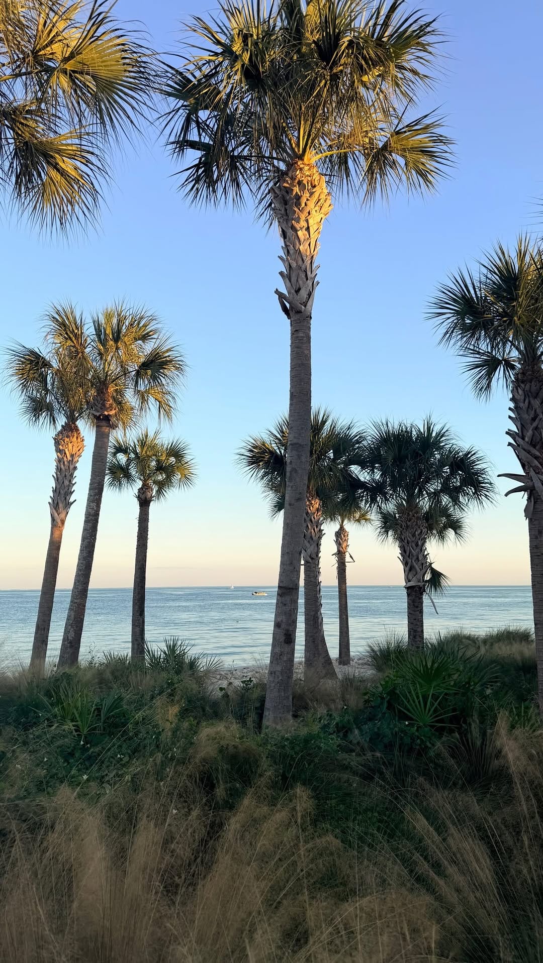 Post 6 by Logan LaFleche | St. Pete Realtor 🍊 on Instagram (video)