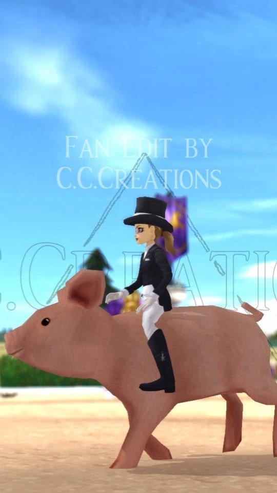 Post 6 by C.C.Creations on Instagram (video)