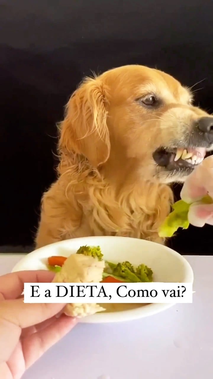 Post 7 by Crisly Bezerra on Instagram (video)