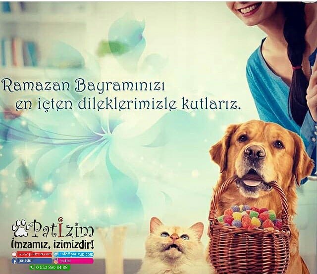 Post 6 by Mama Gönder on Instagram (image)