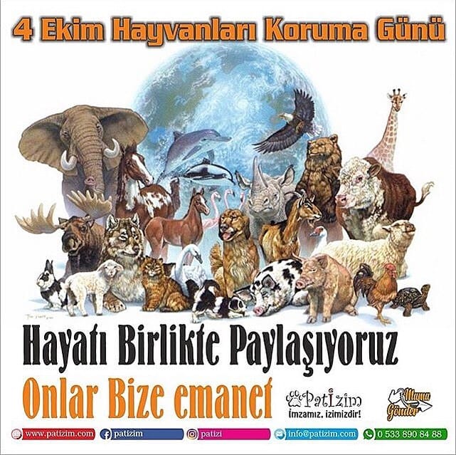 Post 4 by Mama Gönder on Instagram (image)