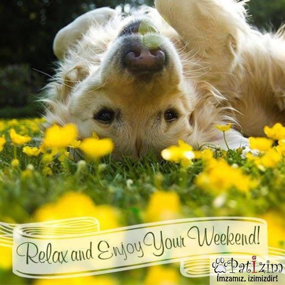 Post 2 by Mama Gönder on Instagram (image)