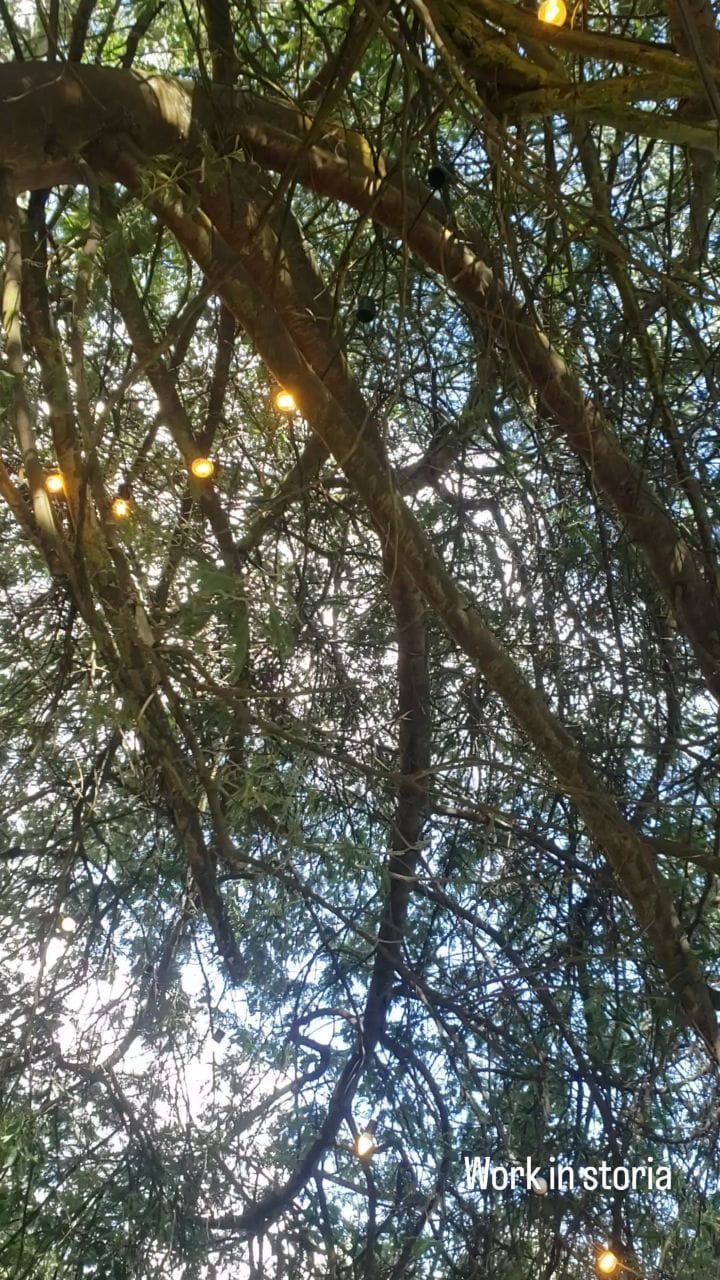 Post 6 by Storia Glamping | hospedaje de lujo on Instagram (video)
