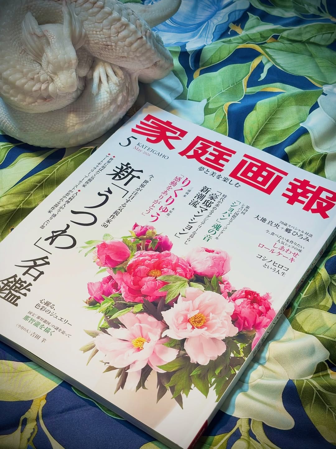 Post 6 by 佐野藍|Ai Sano on Instagram (carousel)