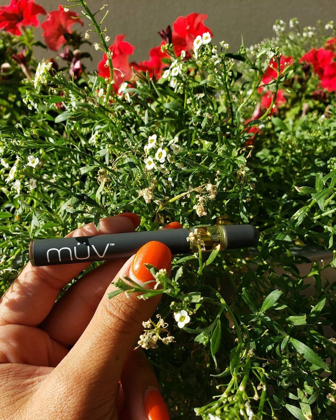 Post 6 by MÜV Products on Instagram (image)