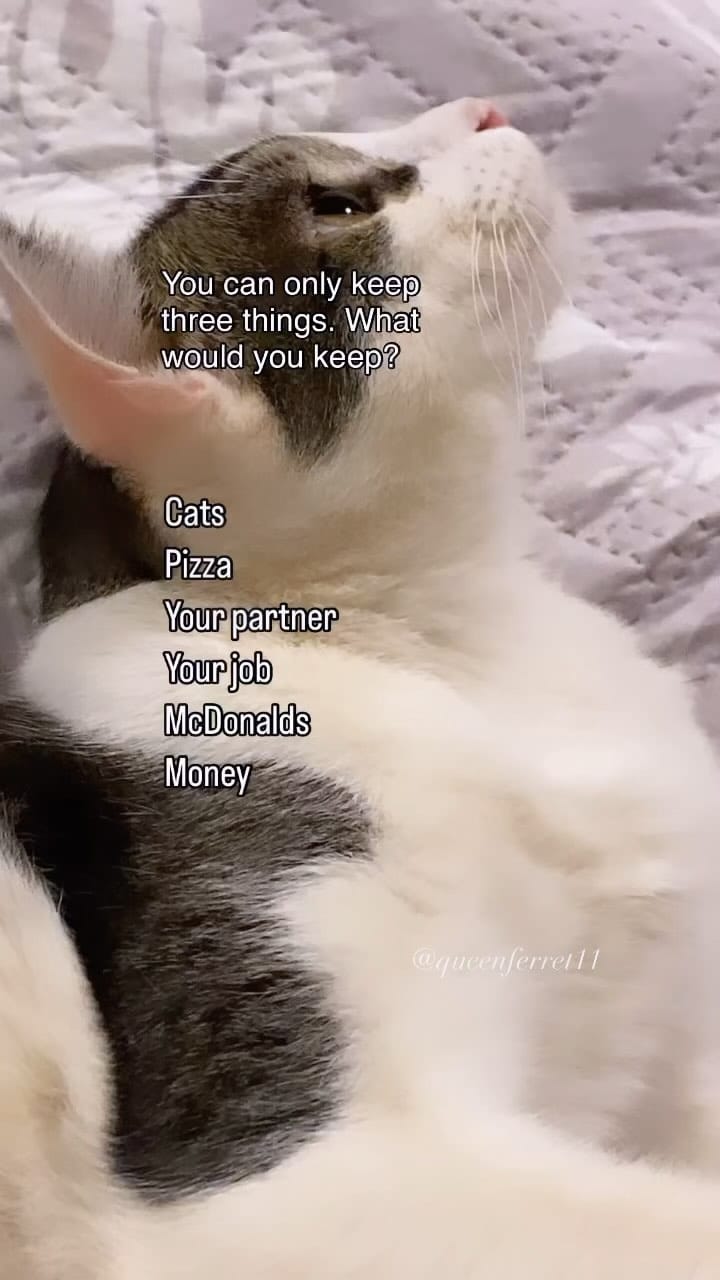 Post 9 by Cat Lady on Instagram (video)