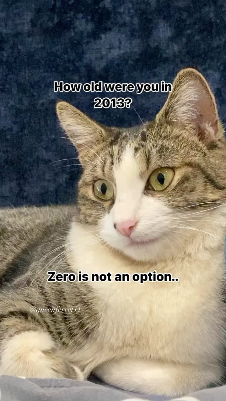 Post 8 by Cat Lady on Instagram (video)