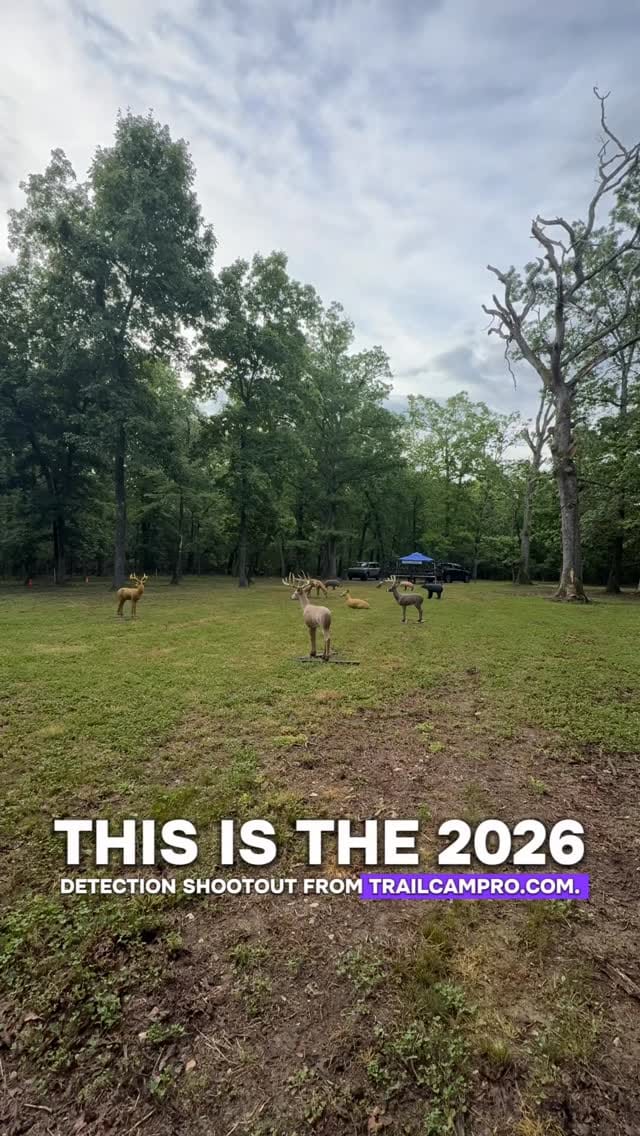 Post 7 by Trailcampro.com on Instagram (video)