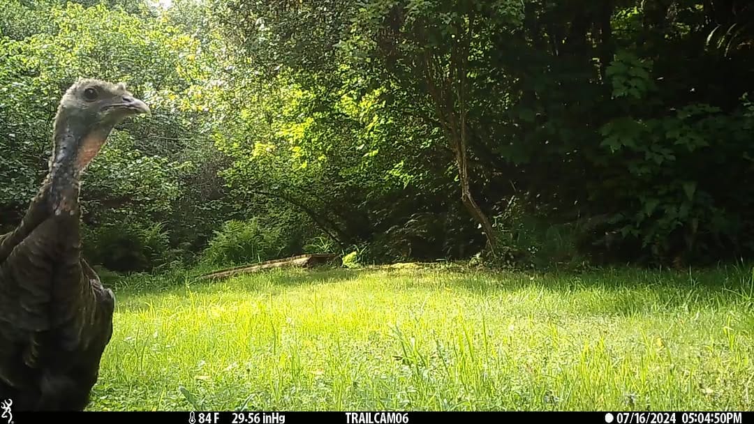 Post 10 by Trailcampro.com on Instagram (video)
