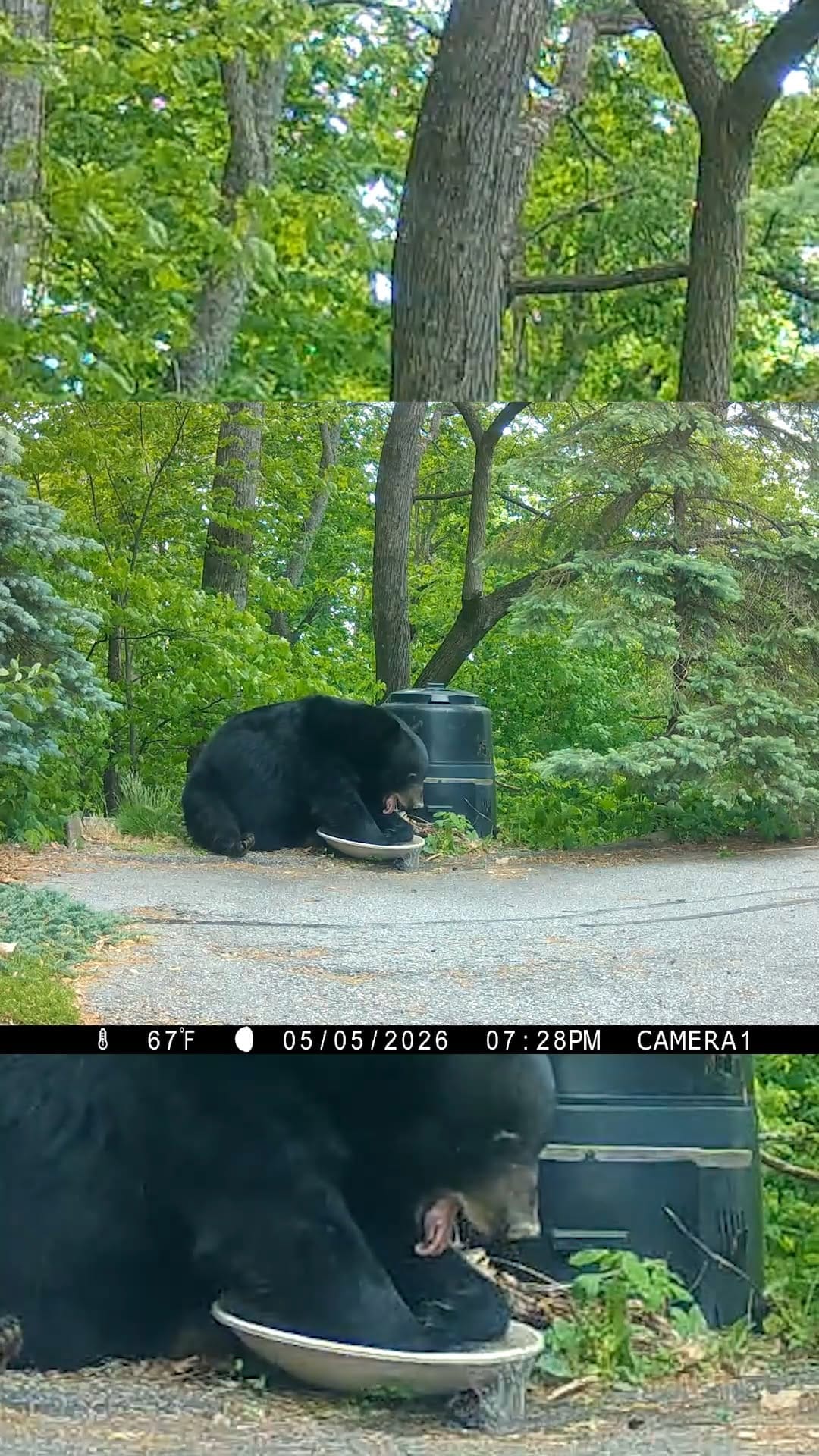 Post 5 by Trailcampro.com on Instagram (video)