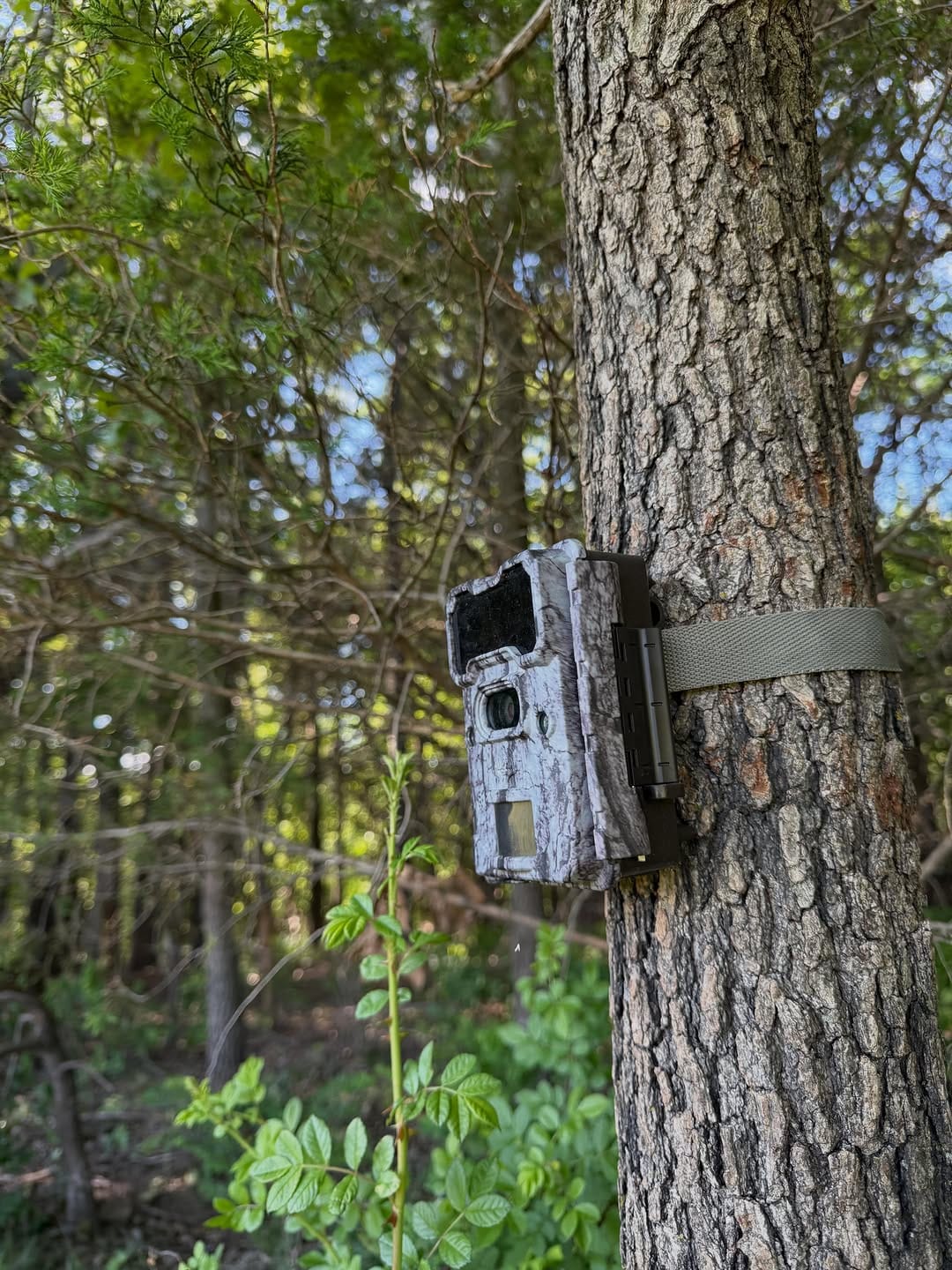 Post 4 by Trailcampro.com on Instagram (image)