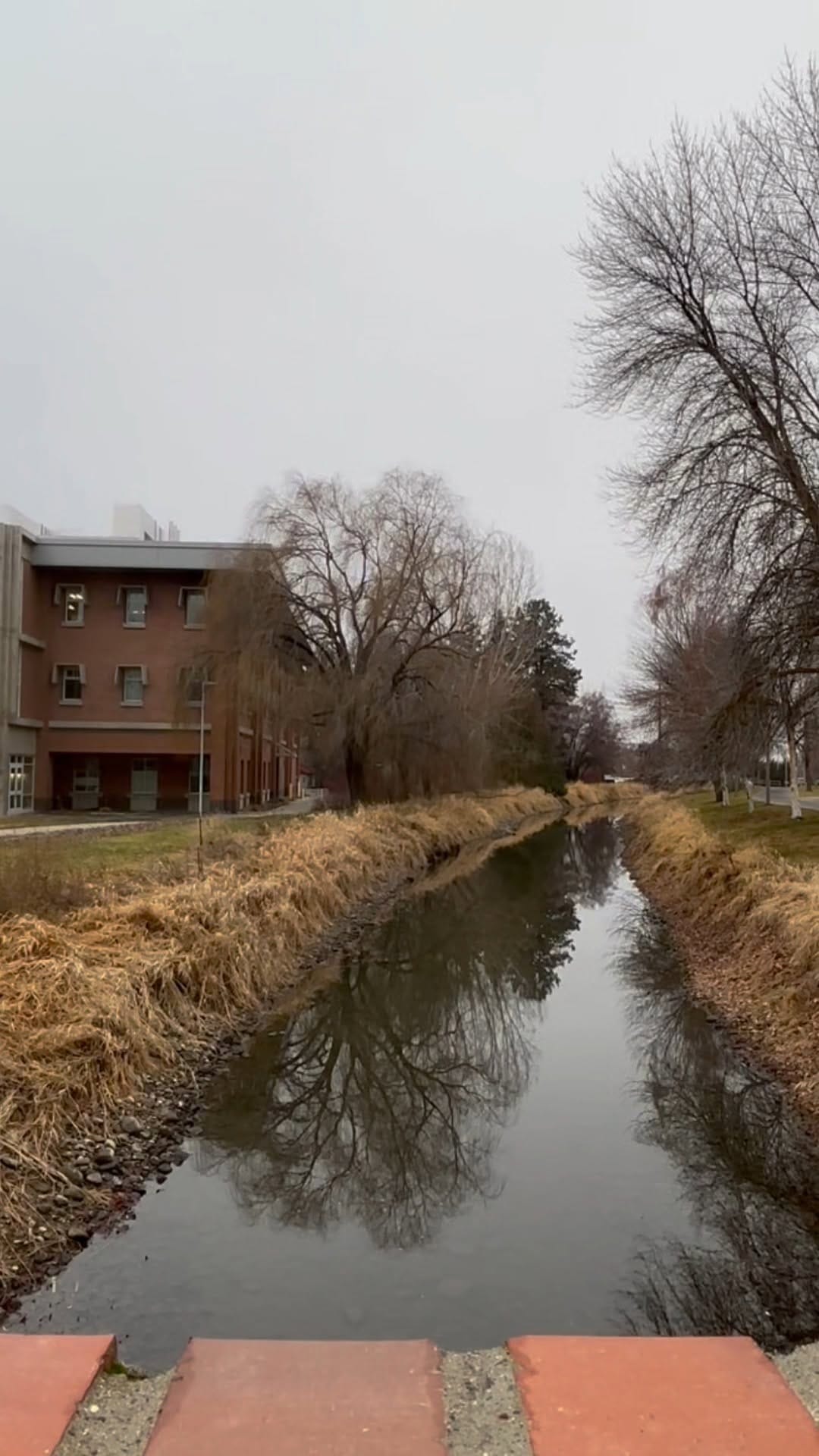 Post 5 by CWU on Instagram (video)
