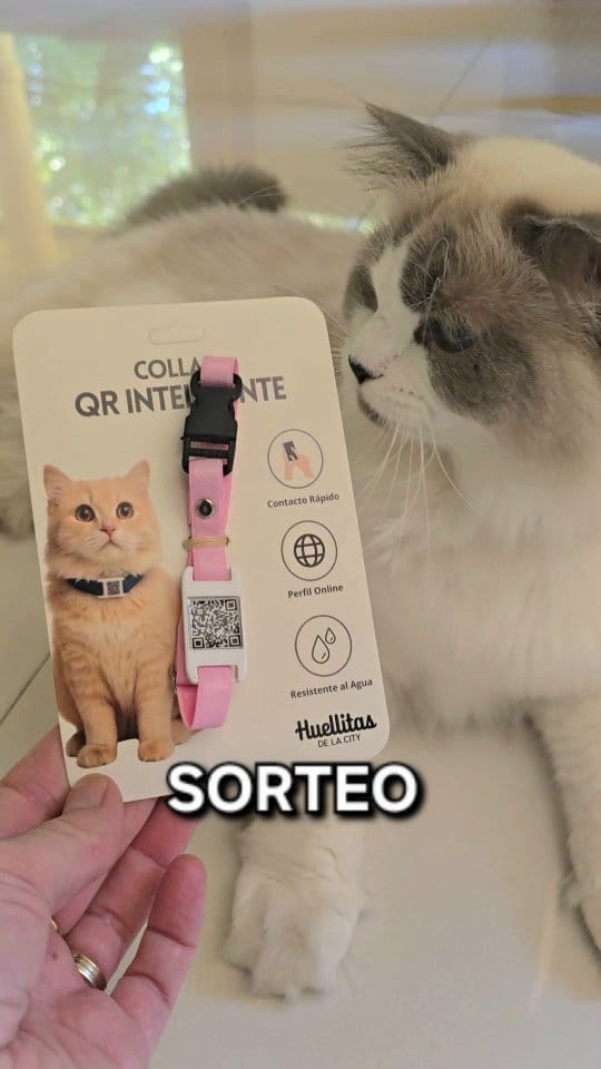 Post 3 by Busca QR on Instagram (video)