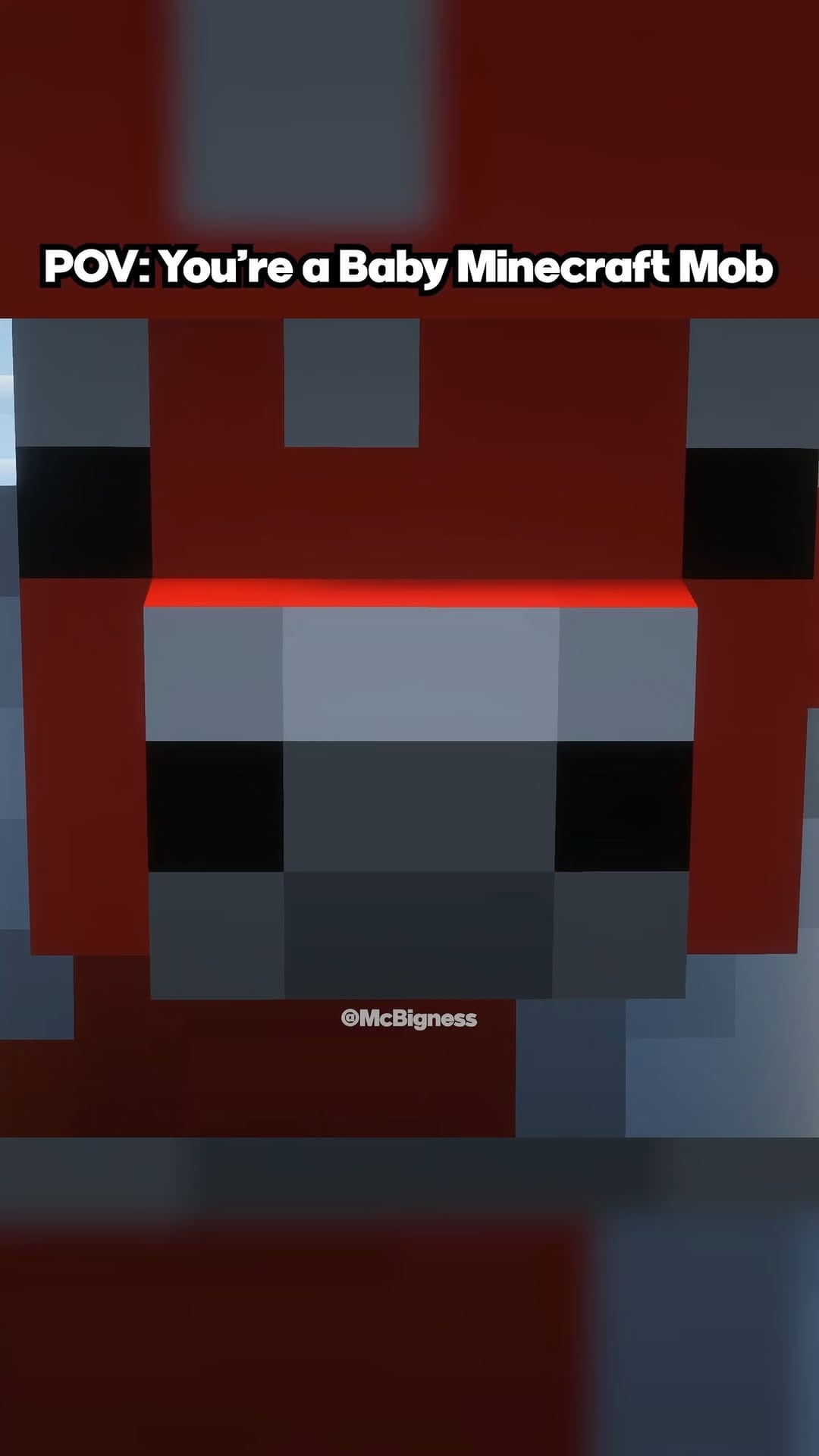 Post 7 by Bigness on Instagram (video)
