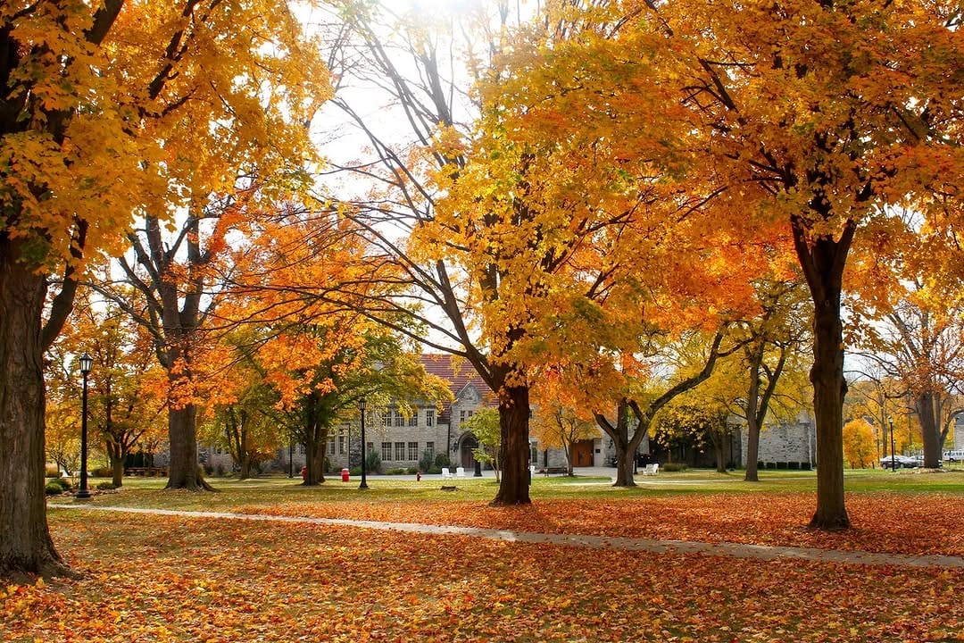 Post 3 by Heidelberg University on Instagram (image)