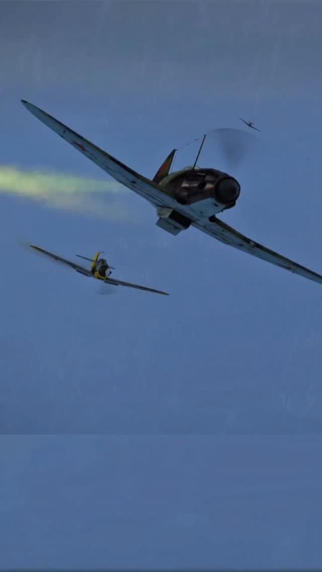 Post 10 by Brigadier Fox on Instagram (video)