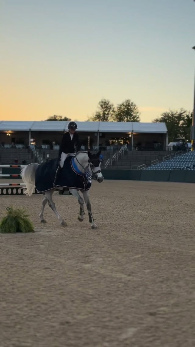 Post 6 by Hagyard Equine Medical on Instagram (video)