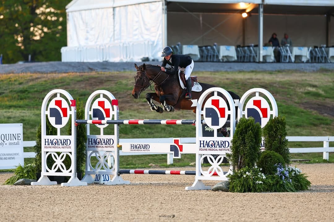 Post 7 by Hagyard Equine Medical on Instagram (carousel)