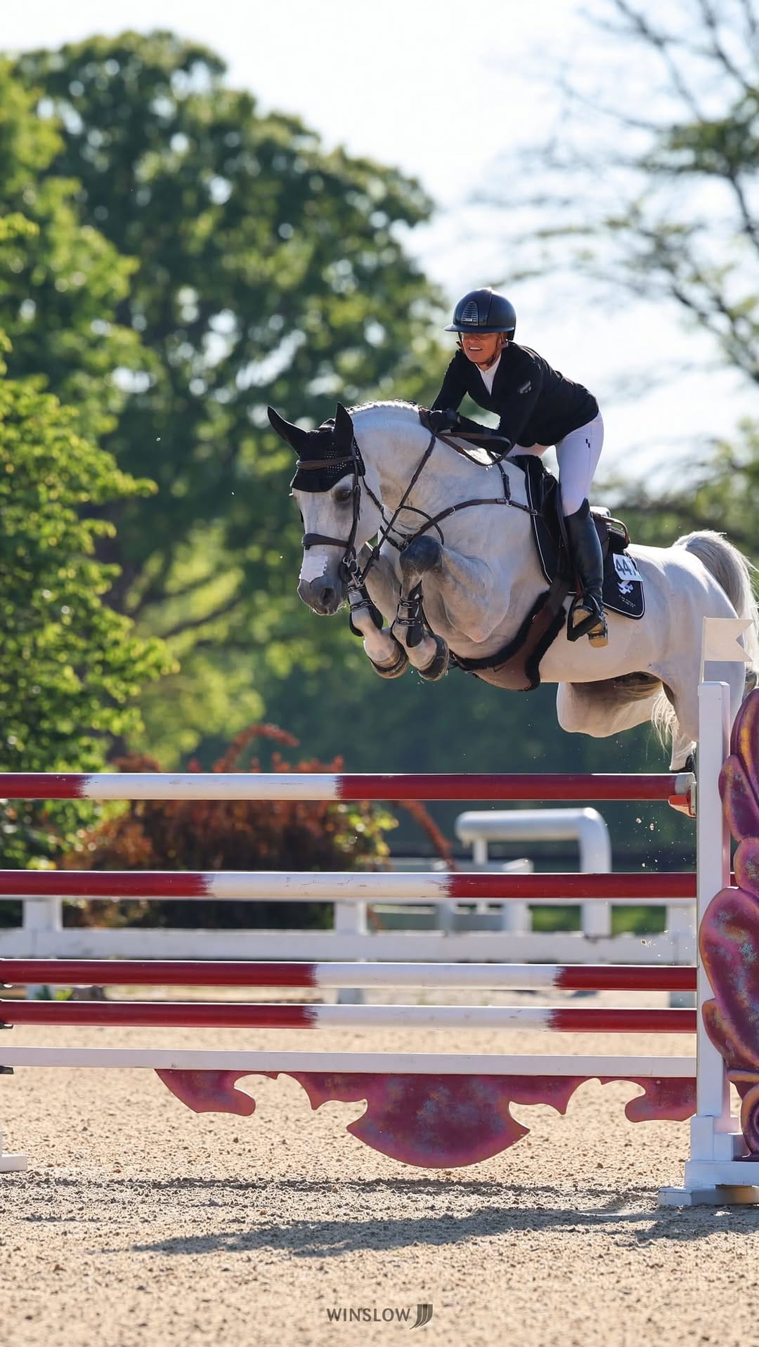 Post 4 by Hagyard Equine Medical on Instagram (video)