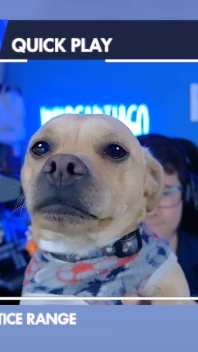Post 8 by WildSantiago on Instagram (video)