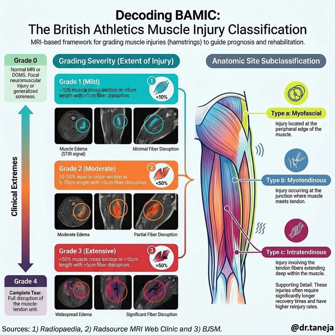 Post 6 by Atul K. Taneja MD PhD - MSK Radiology and Alternate Pathway on Instagram (image)