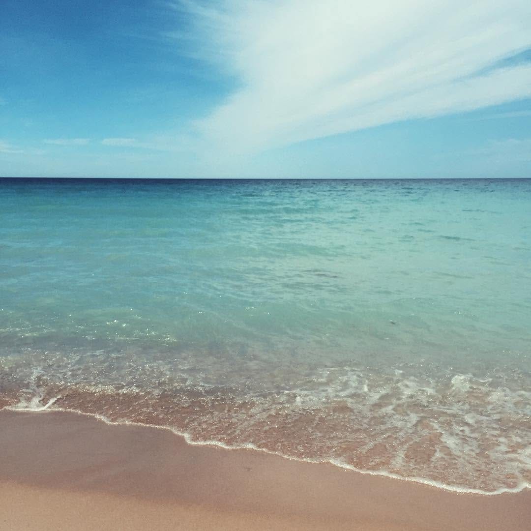 Post 9 by Luke Friedli, DO, DABOM on Instagram (image)