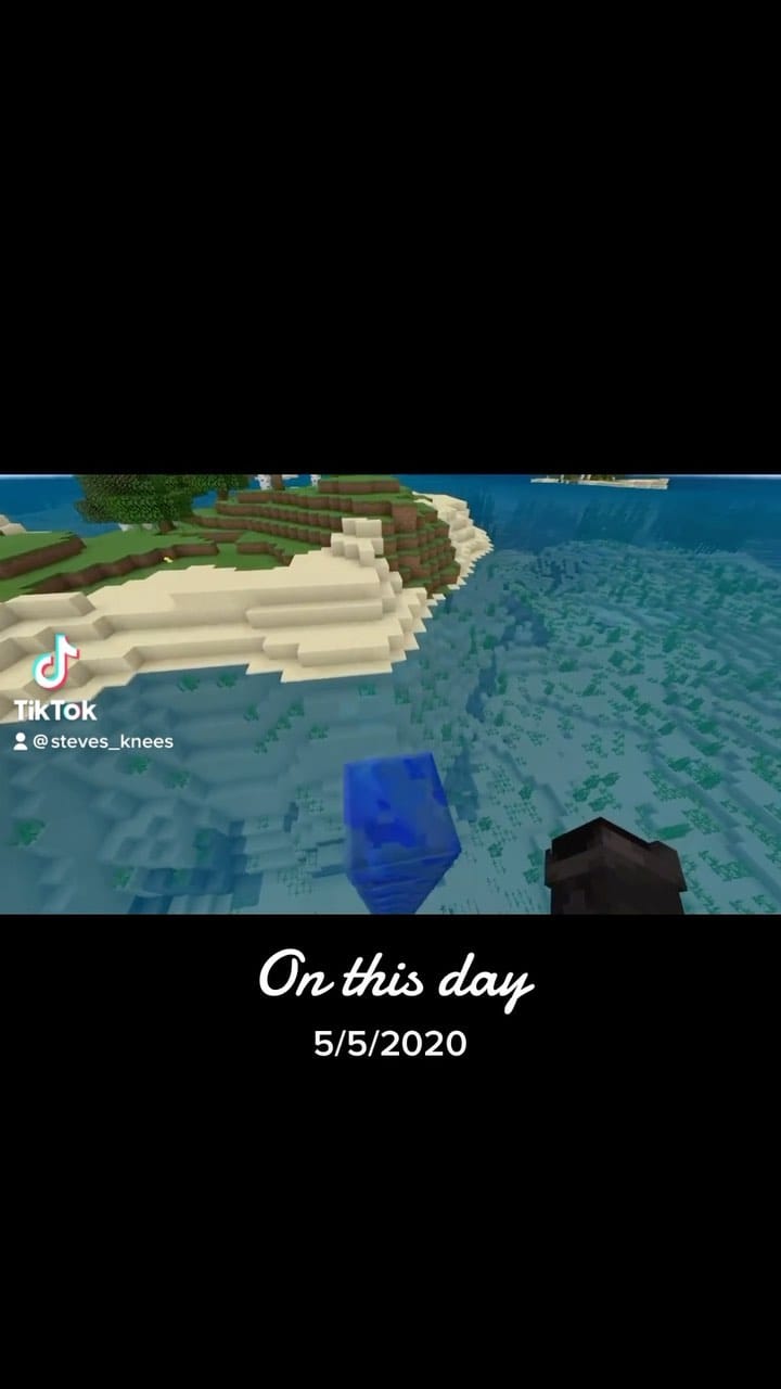 Post 1 by Steve’s Knees on Instagram (video)