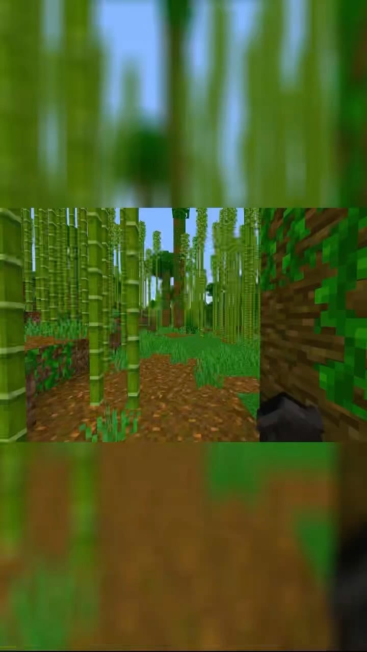 Post 6 by Steve’s Knees on Instagram (video)