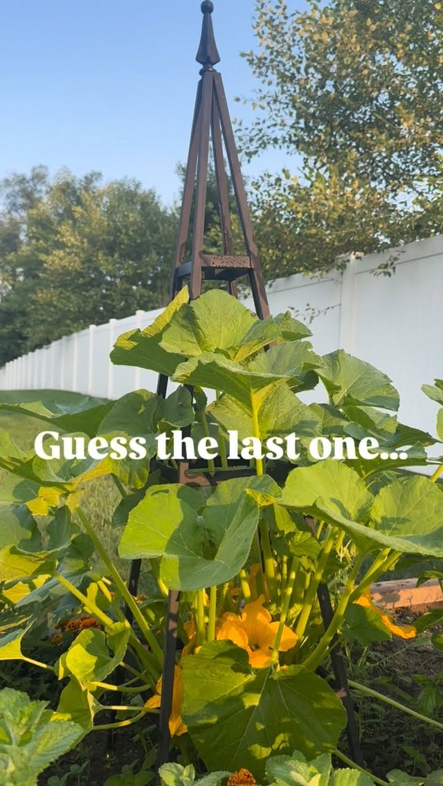 Post 6 by Dr. Sandy Rhee on Instagram (video)