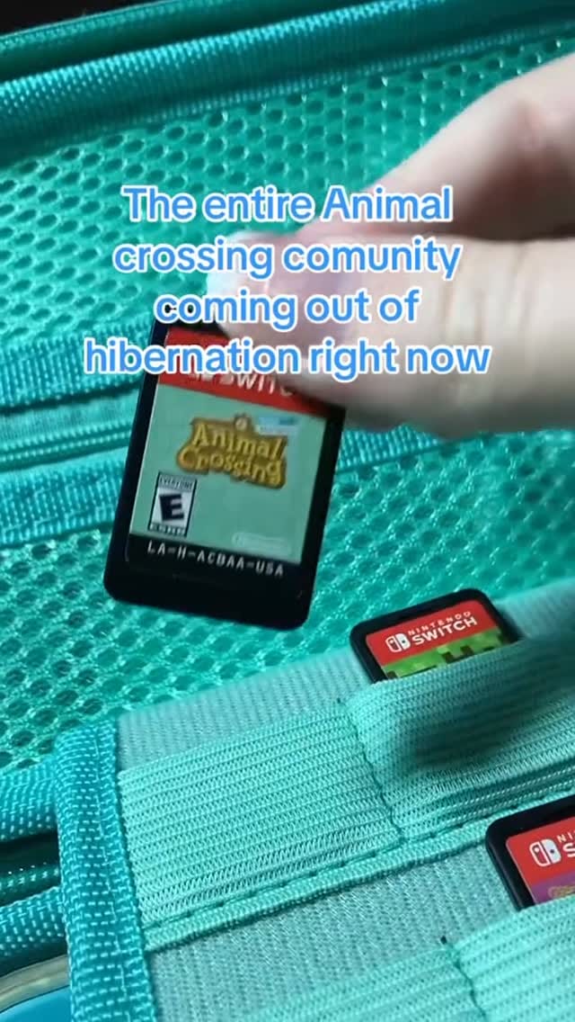 Post 7 by Ghibli island 🏝 on Instagram (video)