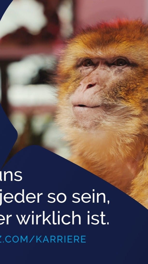 Post 10 by Shopware Agentur on Instagram (video)
