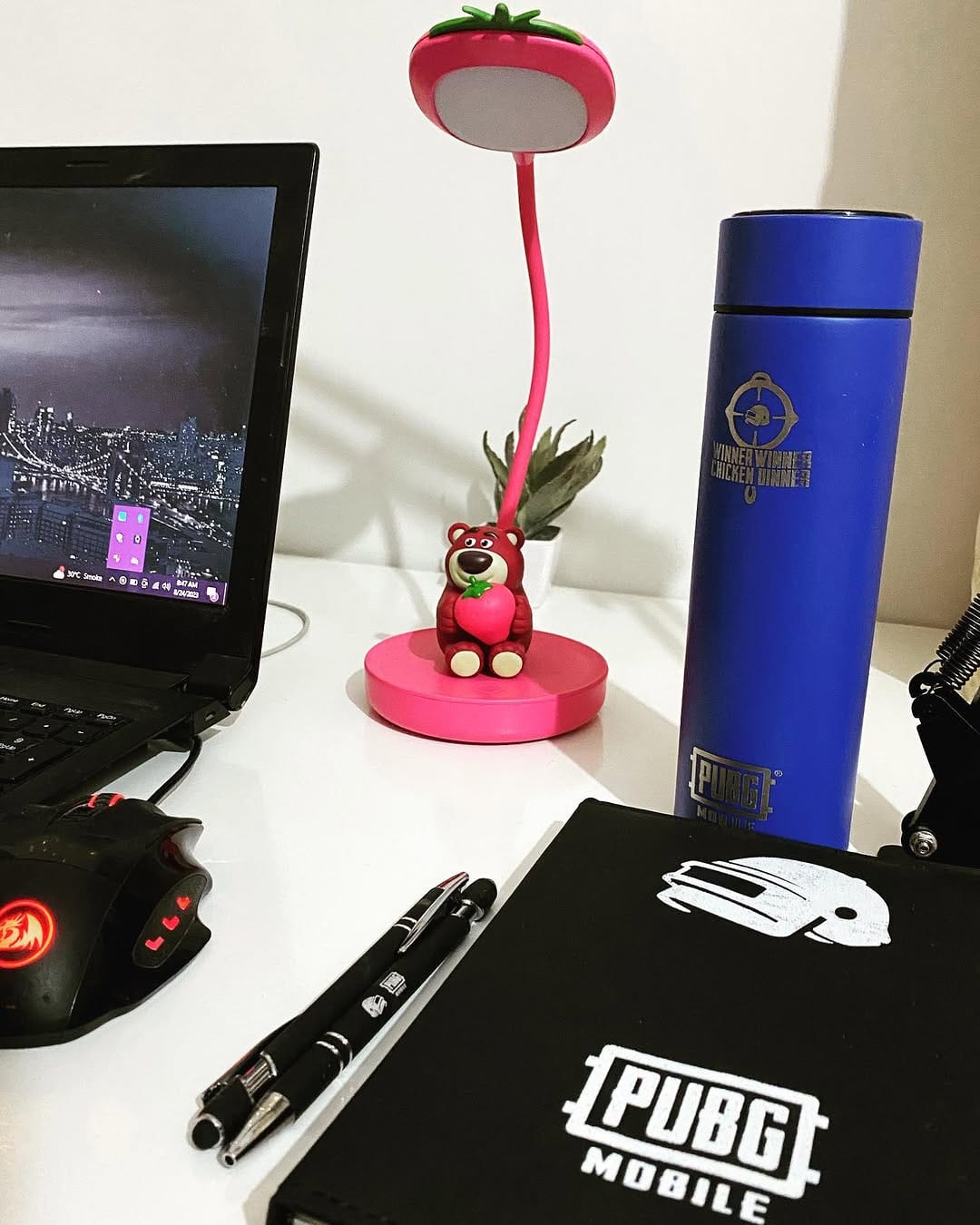 Post 4 by Dr Pikachu on Instagram (image)